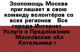 Зоопомощь.Москва приглашает в свою команду волонтёров со всех регионов - Все города Интернет » Услуги и Предложения   . Московская обл.,Котельники г.